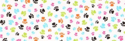 mcarmenpalm's profile banner image