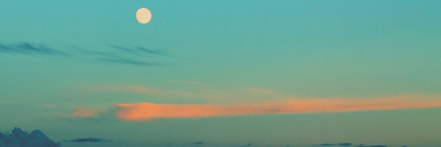 BerninForBernie's profile banner image