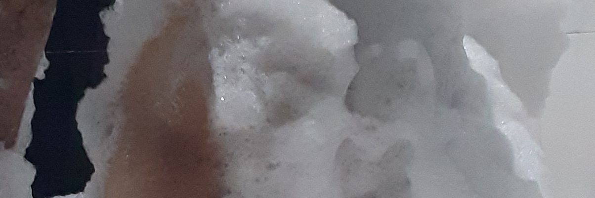 gatomorboso69's profile banner image
