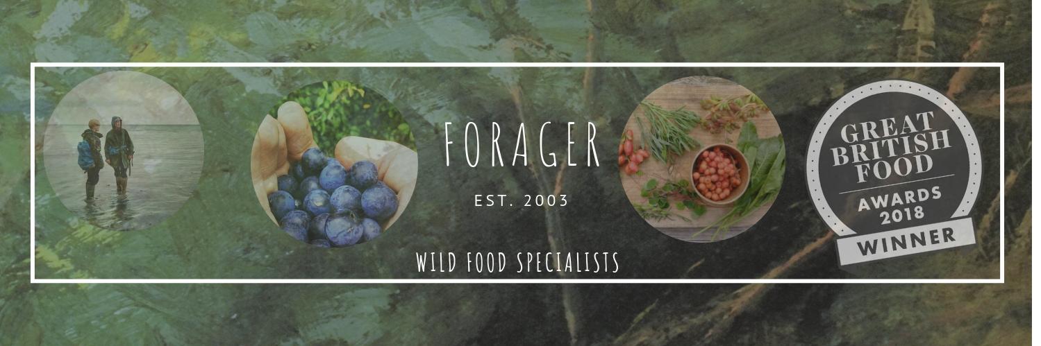 ForagerLtd's profile banner image