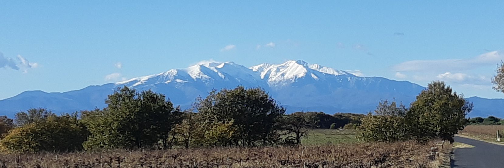 Stéphane Sicard banner