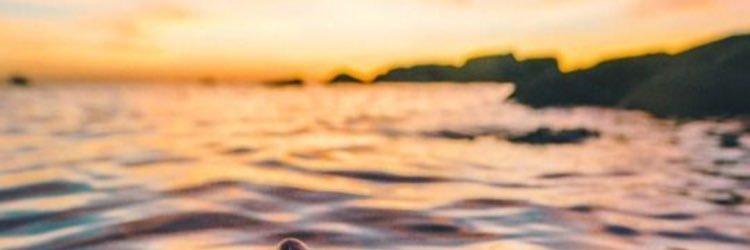 sarnancekivell's profile banner image