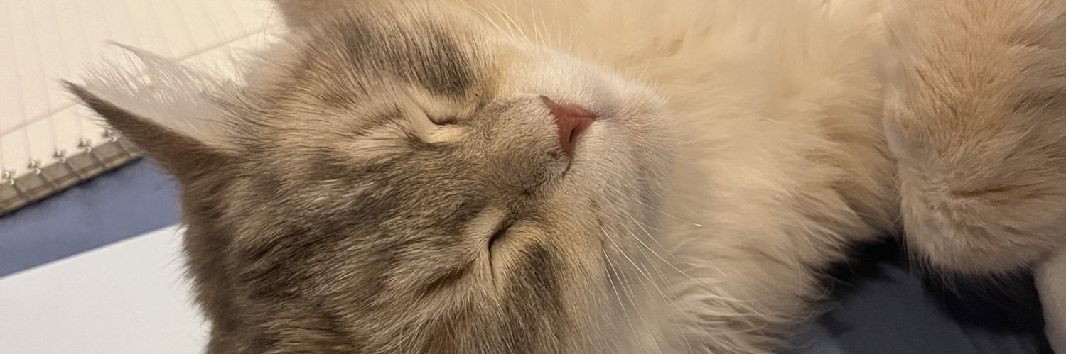 baylee_z's profile banner image