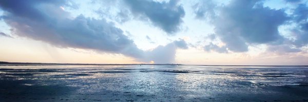 RenaudDely Profile Banner