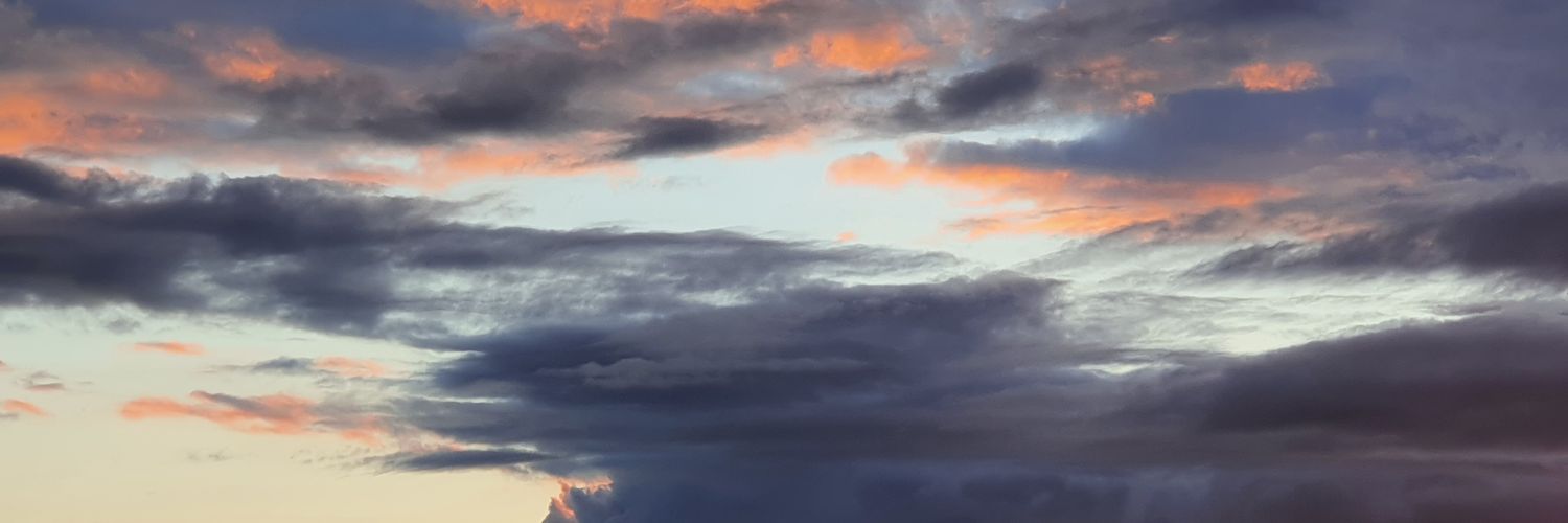 Alyrium465's profile banner image