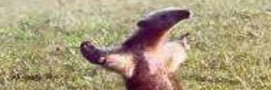 JackMongan's profile banner image