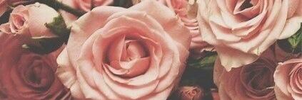 EmilyHostens's profile banner image