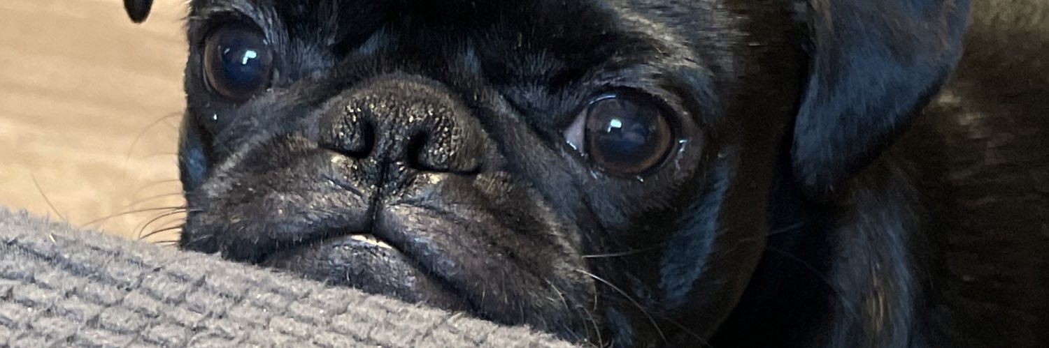 LauraM2111's profile banner image