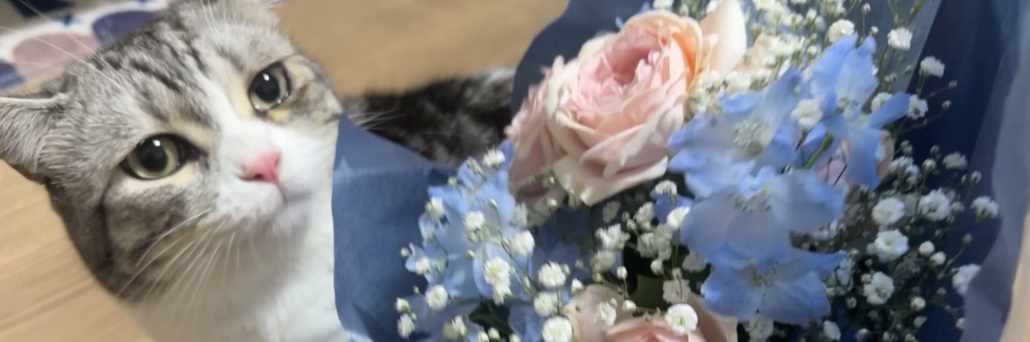 ユアン🎶 banner