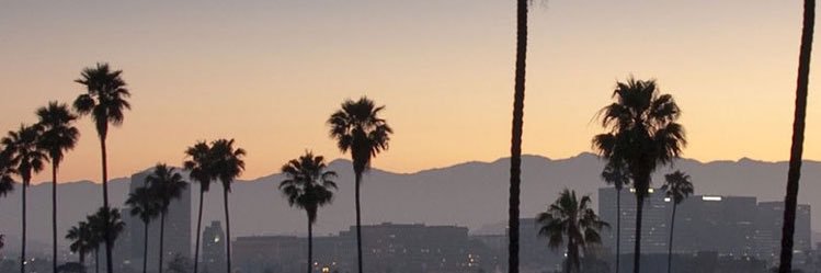 TMoneyBeats_'s profile banner image