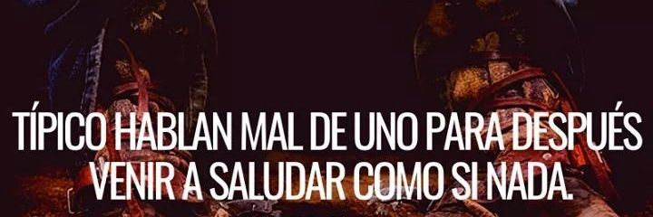 Alonso banner