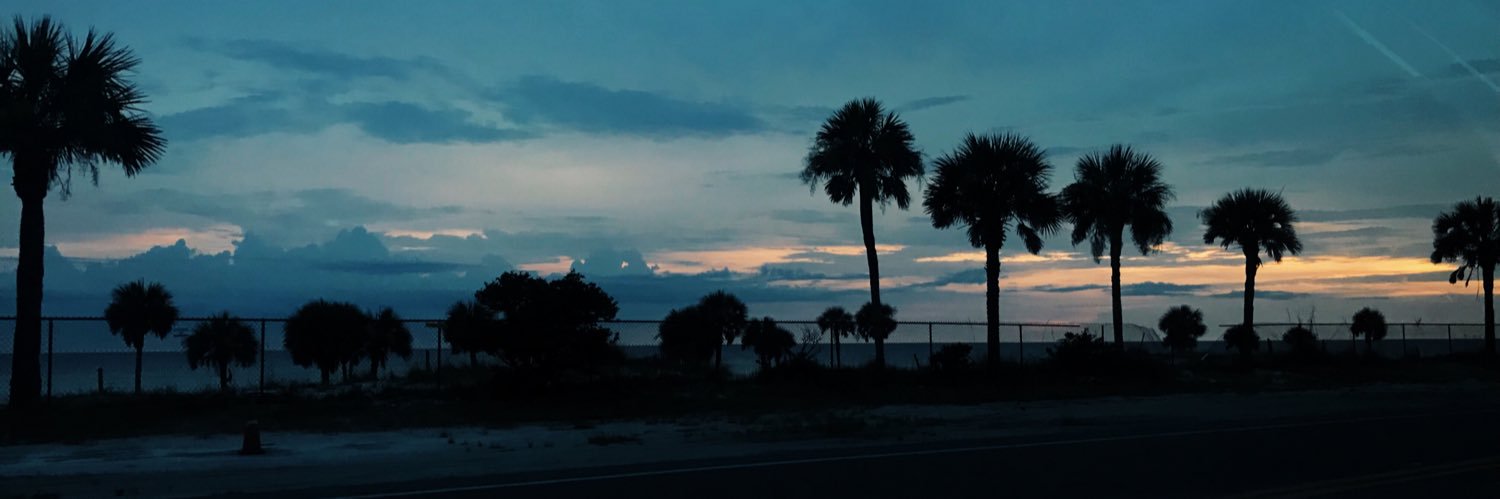 annascott33's profile banner image