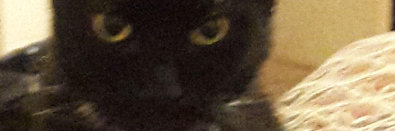 danedane107's profile banner image