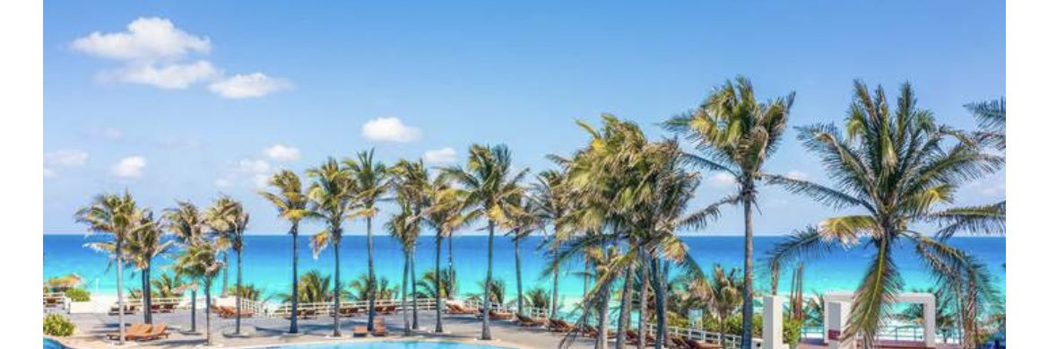 Shannon Edwards (She/Her) banner