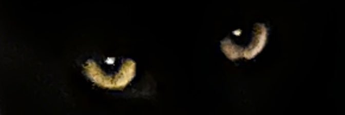 syafiqashr's profile banner image