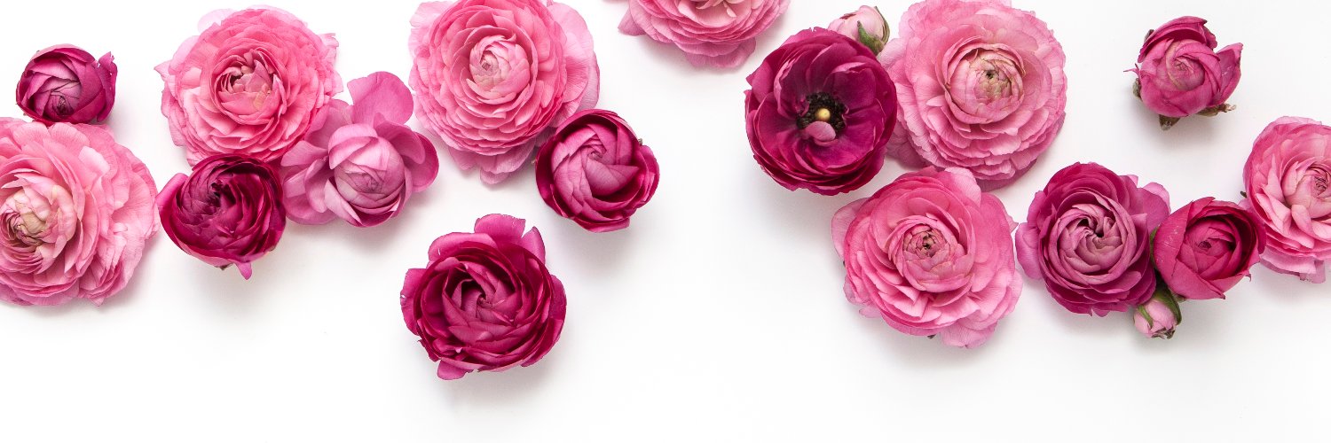 KaylaBrissi's profile banner image