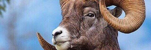 shehu_aware's profile banner image