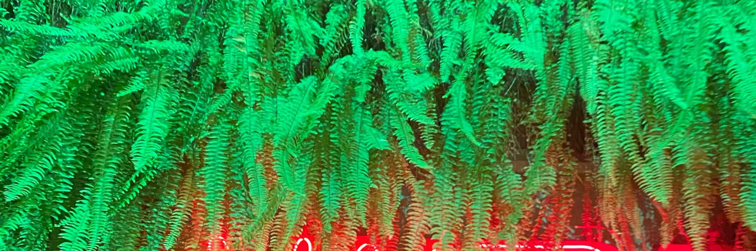 SouaFU's profile banner image