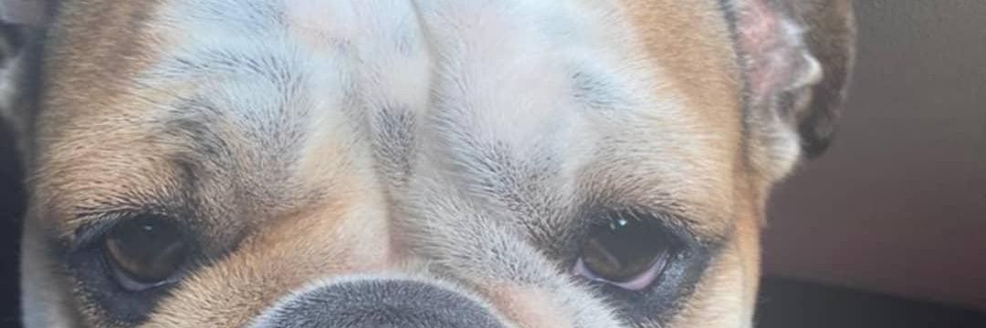 Erick_Tolibia's profile banner image