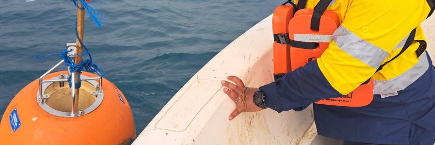 Knight Rising.jpeg banner