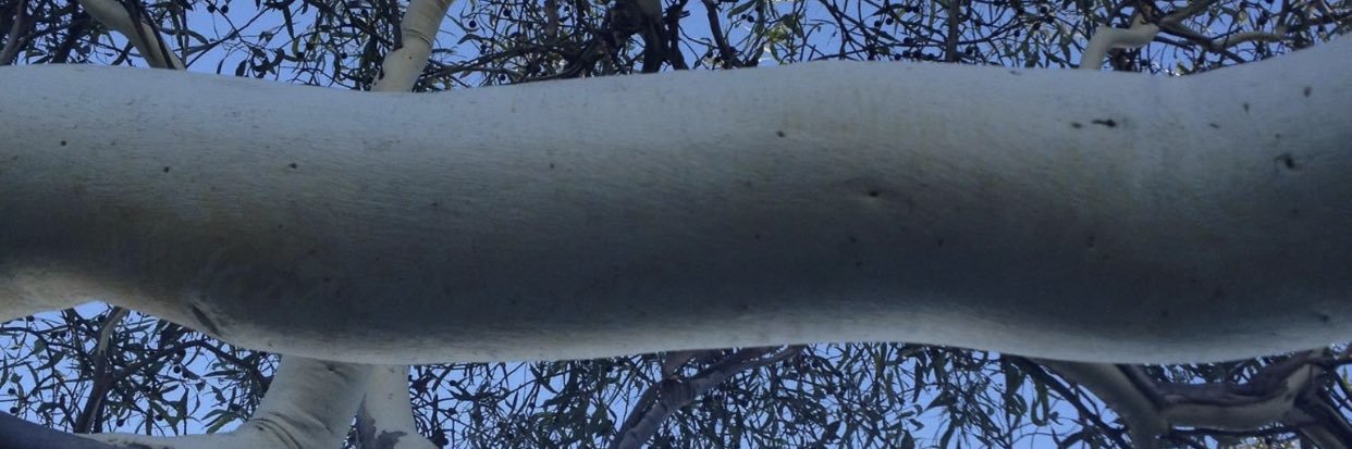 BlackTaylor65's profile banner image