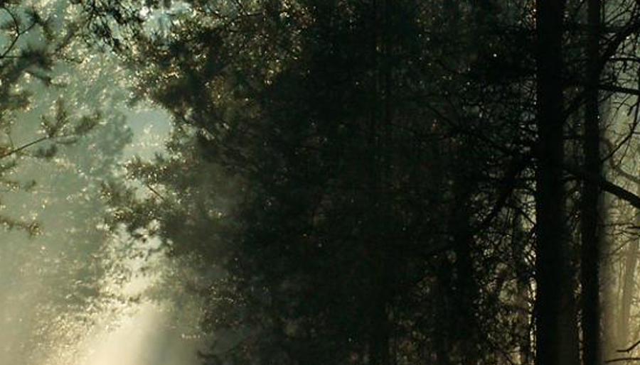 udecthriatonet's profile banner image