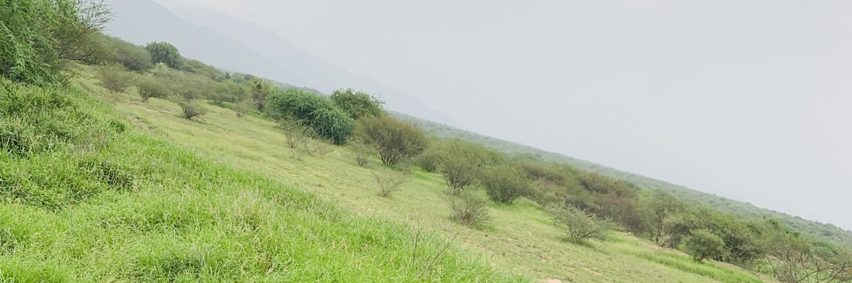 mojahed4451's profile banner image