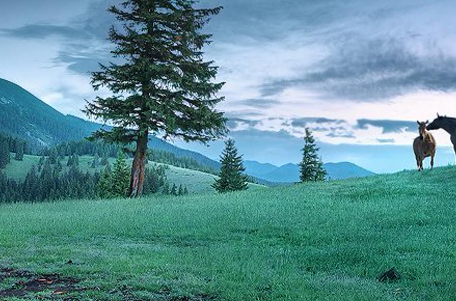 ssyllethy's profile banner image