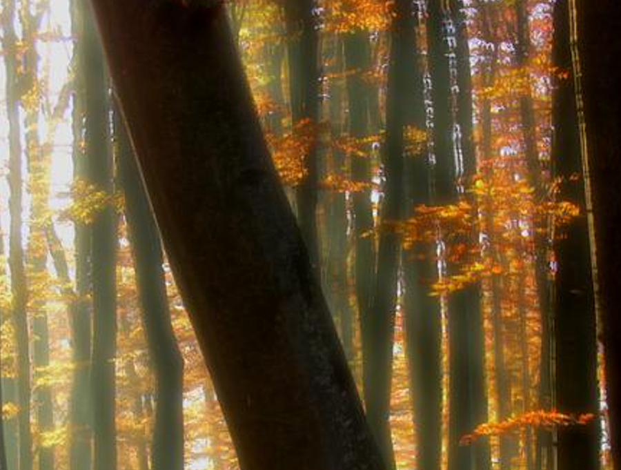 ekicomiler's profile banner image