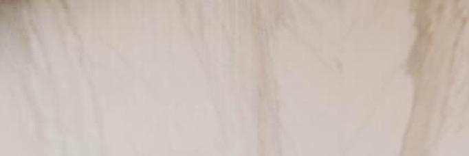 SilenaRoyalRH's profile banner image