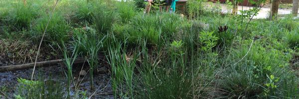 OConnor4_5 Profile Banner