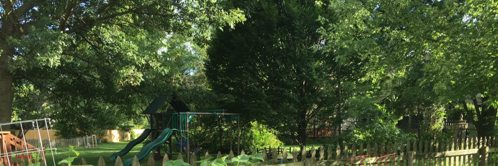 LSGeriatricEM banner