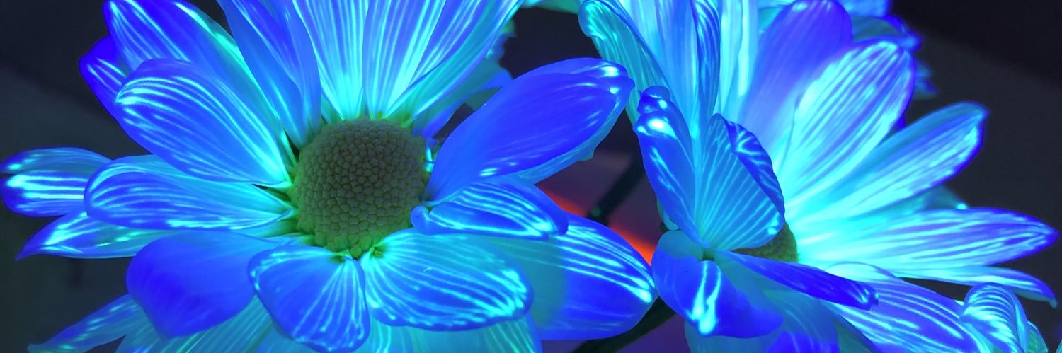 scienceatstrong's profile banner image