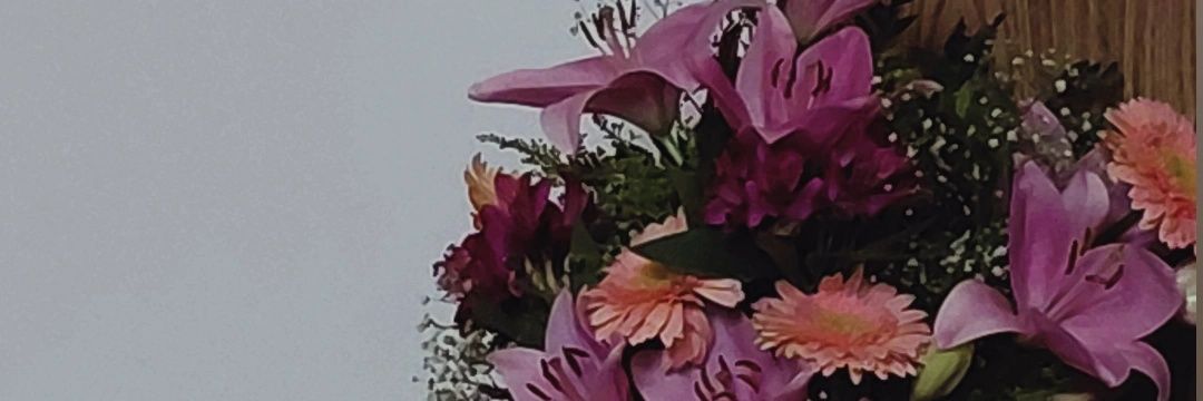 mareadudas's profile banner image