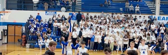 CARLTON CRAZIES banner
