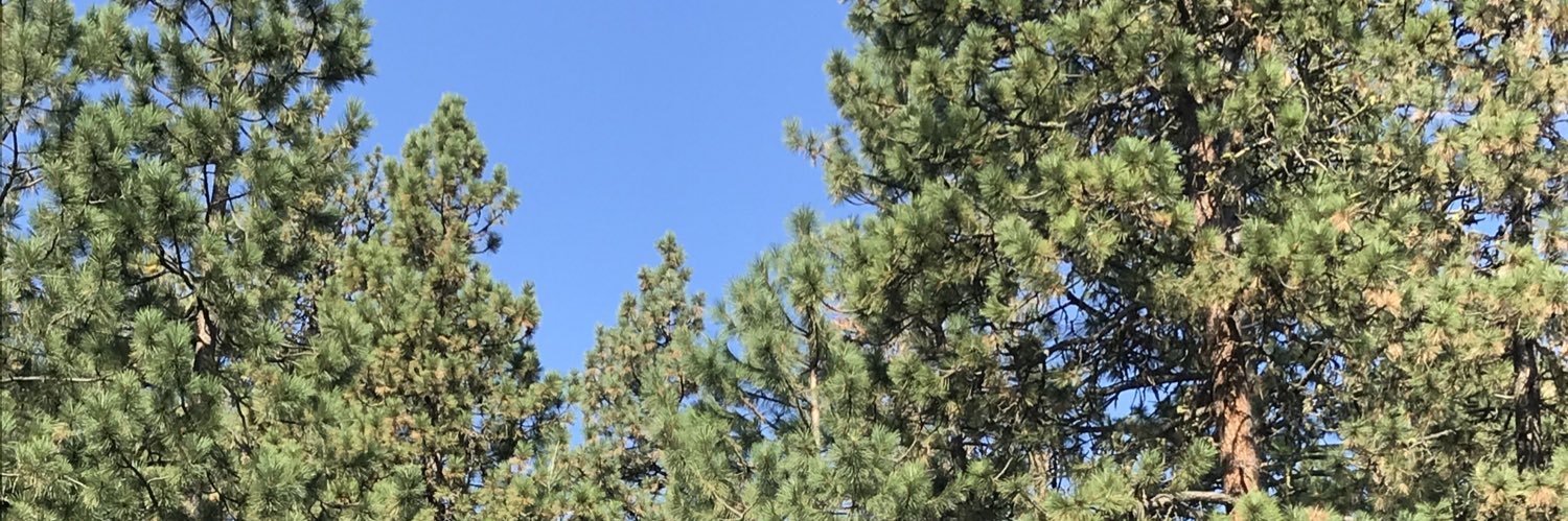 Corie10_4's profile banner image