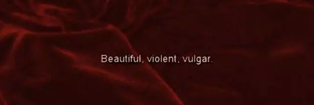 Vladislav banner
