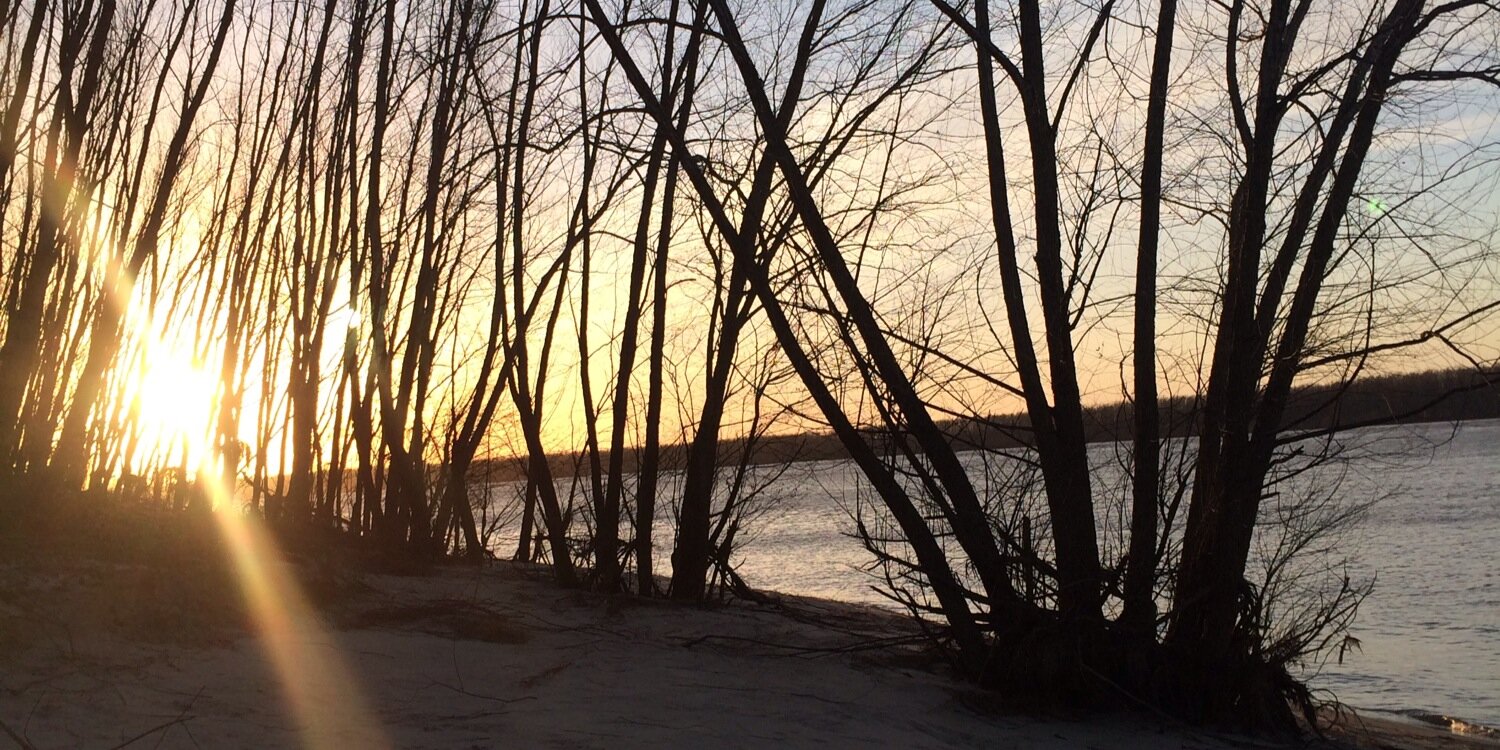 MollyMoak's profile banner image