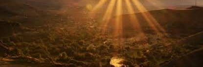 Serdar_281130 banner