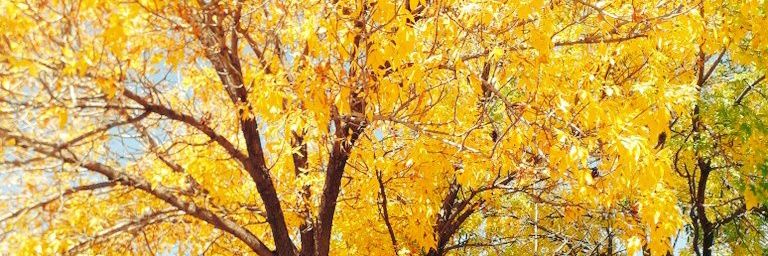 ayeligorria's profile banner image