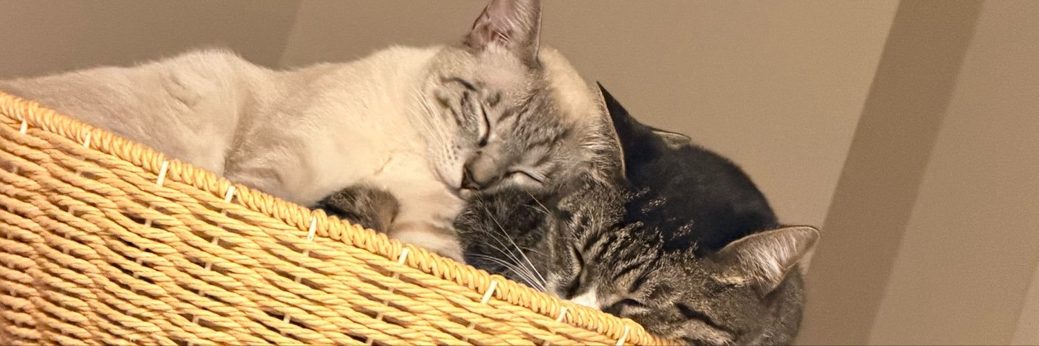 cocol_119's profile banner image