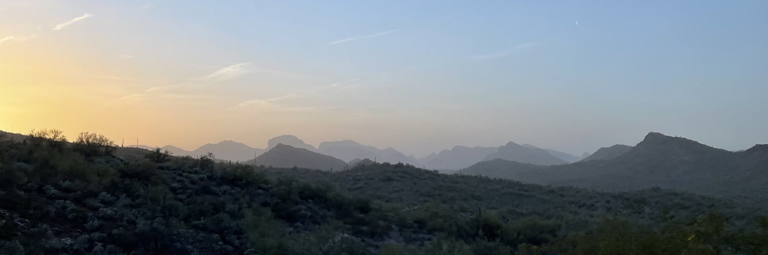 allyhau1's profile banner image