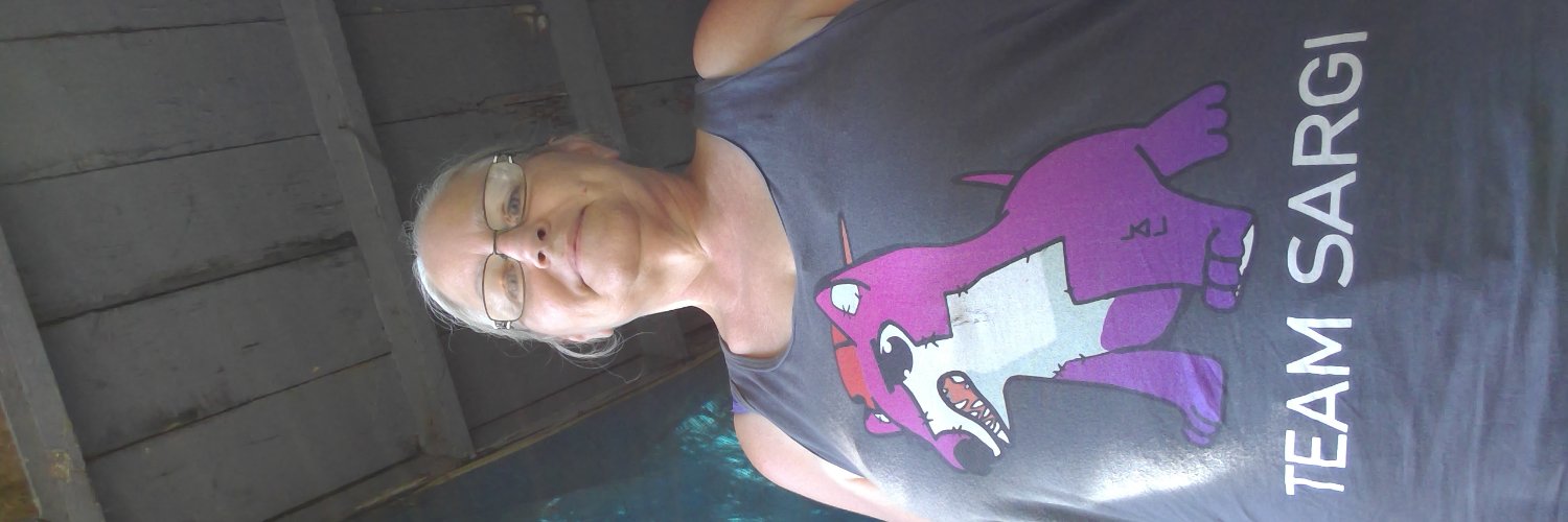 lylli pilcher banner