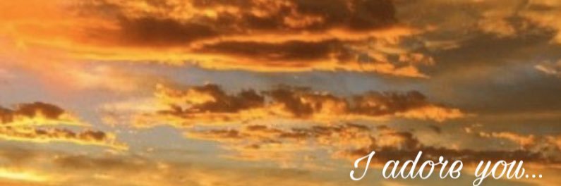 Alexilee22's profile banner image