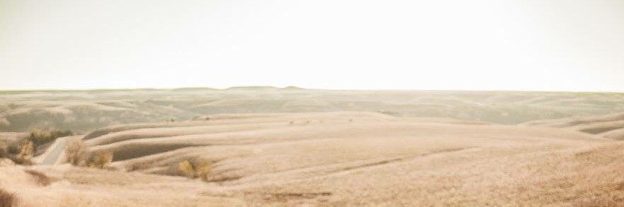 Ross Metheny banner