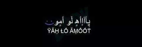 wafaa1912's profile banner image