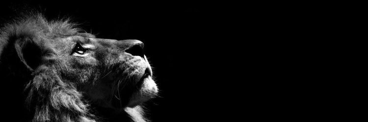 MindOfDK's profile banner image