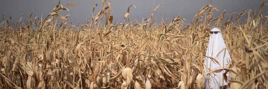 PRStatehoodDem🌴🥥 banner