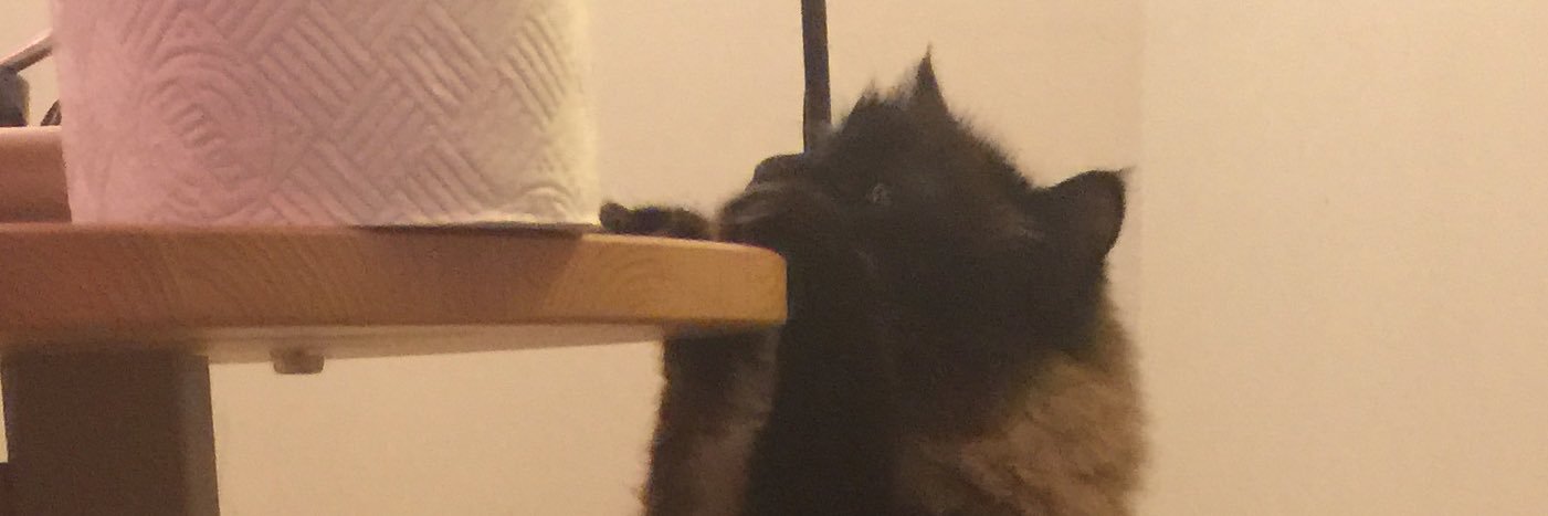 LordFidget's profile banner image