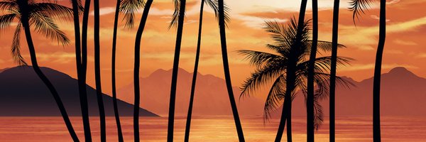 EdwardPerello Profile Banner